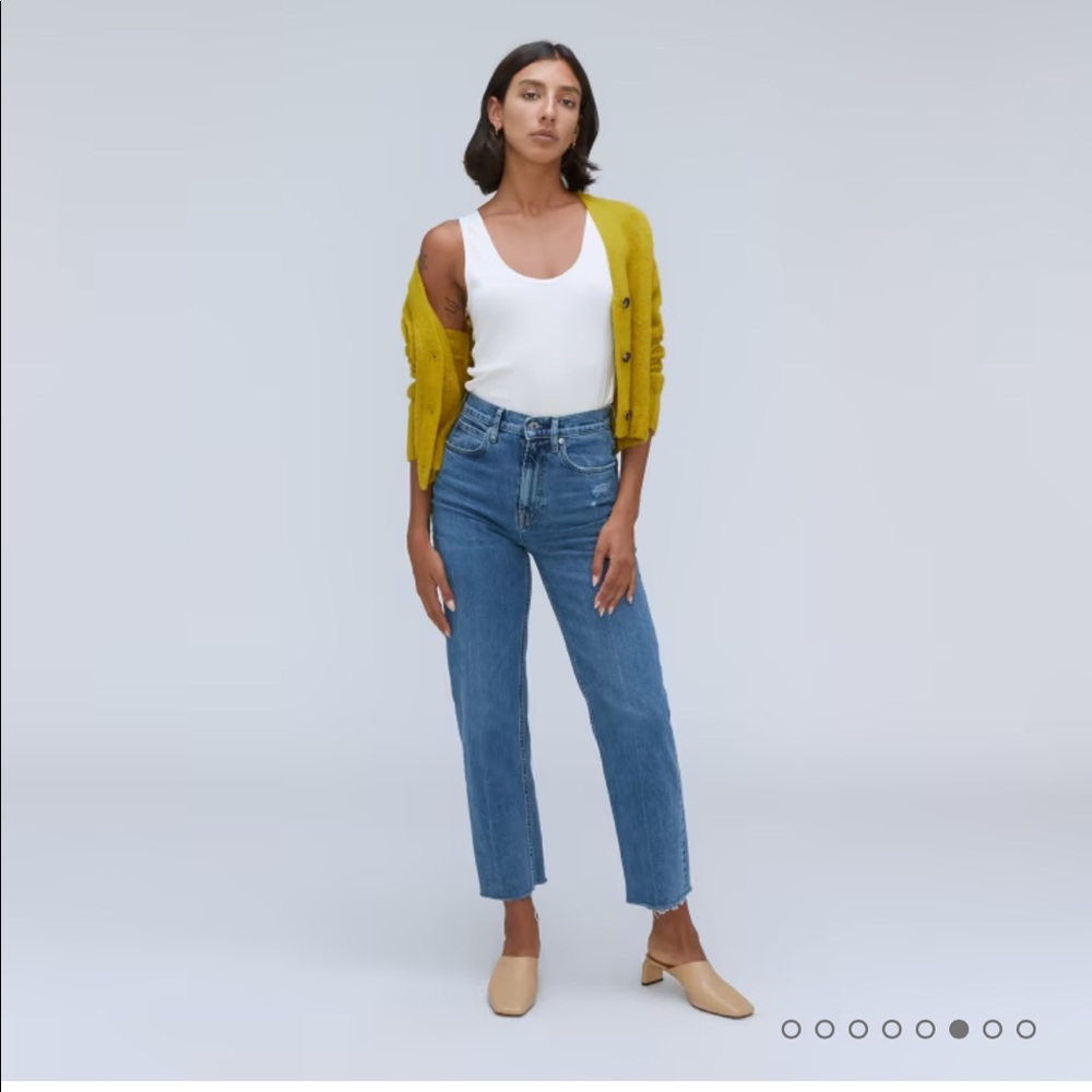 Everlane way high jean, size 27